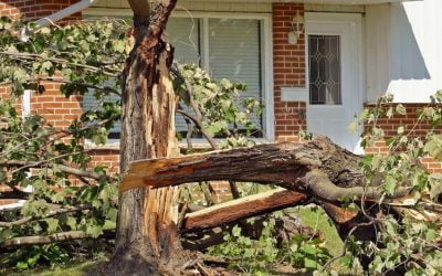 The Do’s & Don’ts of Dealing With Home Storm Damage
