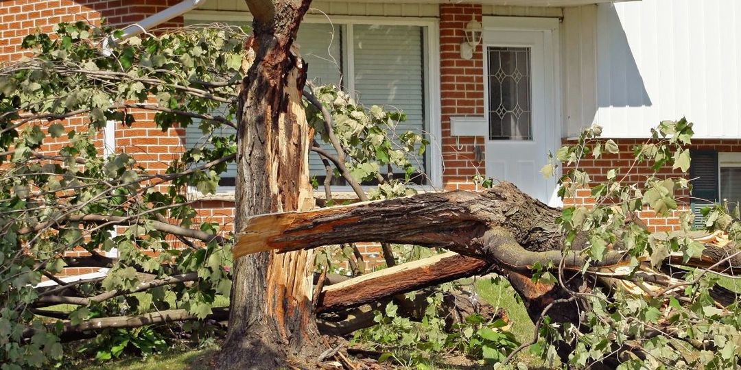 The Dos Donts of Dealing With Home Storm Damage